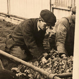 Truck Gardening Under Glass,New Jersey, Early Underwood & Underwood News Photo