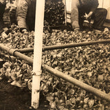 Truck Gardening Under Glass,New Jersey, Early Underwood & Underwood News Photo