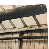 Truck Gardening Under Glass,New Jersey, Early Underwood & Underwood News Photo