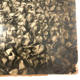 Truck Gardening Under Glass,New Jersey, Early Underwood & Underwood News Photo