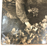 Truck Gardening Under Glass,New Jersey, Early Underwood & Underwood News Photo