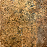 Piero Strassburger's  Copy of The United States Arithmetician, 1831, with Fraktur Writing