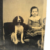 Frowning Girl with Spaniel, Antique Tintype, Framed as Found