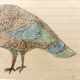Ducks and Grouse (I think), James Adaire, Spring Grove PA, c. 1905 Ink and Crayon Drawing