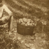 Potato Pickers (with Excellent Baskets), Hall's Farm, Westmoreland, NH Old Snapshot Photo