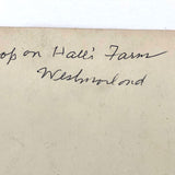 Potato Pickers (with Excellent Baskets), Hall's Farm, Westmoreland, NH Old Snapshot Photo