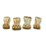 Marvelous Set of Four Antique Carved Bone Clawed Feet