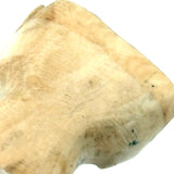 Marvelous Set of Four Antique Carved Bone Clawed Feet