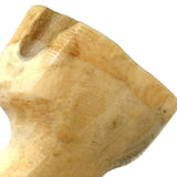 Marvelous Set of Four Antique Carved Bone Clawed Feet