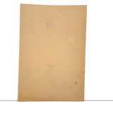 Woman in Purple at Table with Plants, Wonderful Antique Graphite and Crayon Drawing