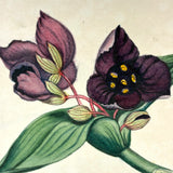 Geometric Perspective Drawings: Beautiful Mid 19th Century Notebook, 20 p, Full, Plus Extra