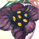 Geometric Perspective Drawings: Beautiful Mid 19th Century Notebook, 20 p, Full, Plus Extra