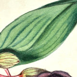 Geometric Perspective Drawings: Beautiful Mid 19th Century Notebook, 20 p, Full, Plus Extra