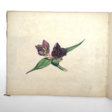 Geometric Perspective Drawings: Beautiful Mid 19th Century Notebook, 20 p, Full, Plus Extra