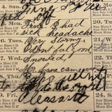 1886 + 1888 Almanacs with Handwritten Daily Diaries