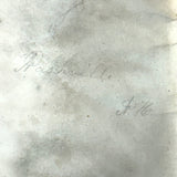 Leaf Studies, Rebecca Pillsbury's 1847 Notebook of Ink-stamped and Labeled Specimens, Nashville, NH