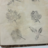 Leaf Studies, Rebecca Pillsbury's 1847 Notebook of Ink-stamped and Labeled Specimens, Nashville, NH