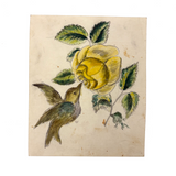 Hummingbird and Yellow Rose, 19th C. Schoolgirl Watercolor Drawing