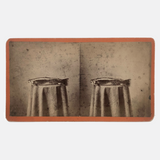Trout on Table: Striking c. 1880s Stereoview, Charles E. Smith Vermont
