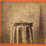 Trout on Table: Striking c. 1880s Stereoview, Charles E. Smith Vermont