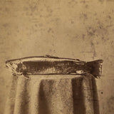 Trout on Table: Striking c. 1880s Stereoview, Charles E. Smith Vermont