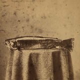 Trout on Table: Striking c. 1880s Stereoview, Charles E. Smith Vermont