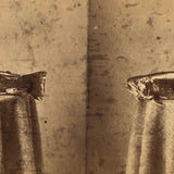 Trout on Table: Striking c. 1880s Stereoview, Charles E. Smith Vermont