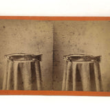 Trout on Table: Striking c. 1880s Stereoview, Charles E. Smith Vermont