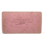 Trout on Table: Striking c. 1880s Stereoview, Charles E. Smith Vermont