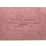 Trout on Table: Striking c. 1880s Stereoview, Charles E. Smith Vermont