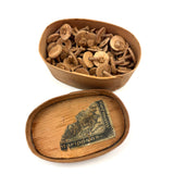 Antique German Bentwood Box with Floating Oil Lamp Wicks (Good for Making Wishes)
