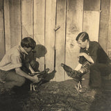 Cock Fight in the Barn Yard, Old Shapshot Photo