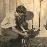 Cock Fight in the Barn Yard, Old Shapshot Photo