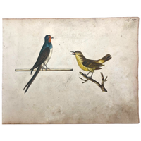 c. 1800 Very Fine German Ink and Watercolor on Laid of Two Songbirds