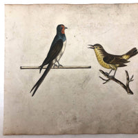 c. 1800 Very Fine German Ink and Watercolor on Laid of Two Songbirds