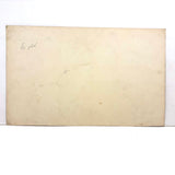 Bessie Slater's Beautiful 19th Century Ink and Watercolor Botany Chart: Leaves