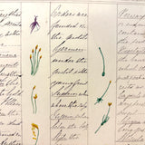 Bessie Slater's Beautiful 19th Century Ink and Watercolor Botany Chart: Flower Parts & Seeds