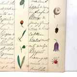 Bessie Slater's Beautiful 19th Century Ink and Watercolor Botany Chart: Flower Parts & Seeds