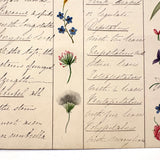 Bessie Slater's Beautiful 19th Century Ink and Watercolor Botany Chart: Flower Positions