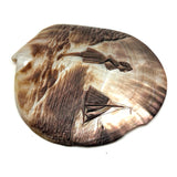 Looking Out, Charming c. 1880s Mother of Pearl Seashell Folk Art Carving