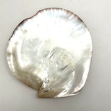 Looking Out, Charming c. 1880s Mother of Pearl Seashell Folk Art Carving