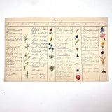 Bessie Slater's Beautiful 19th Century Ink and Watercolor Botany Chart: Flower Positions