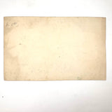 Bessie Slater's Beautiful 19th Century Ink and Watercolor Botany Chart: Flower Positions