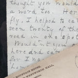1884 Handwritten Letter with Butterfly and Rich History, Jackson NH