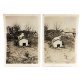 Over and On the Doghouse, Pair of Vintage Snapshots