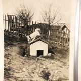 Over and On the Doghouse, Pair of Vintage Snapshots