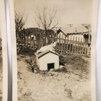 Over and On the Doghouse, Pair of Vintage Snapshots