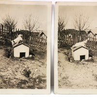 Over and On the Doghouse, Pair of Vintage Snapshots