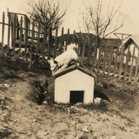 Over and On the Doghouse, Pair of Vintage Snapshots