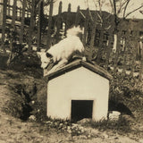 Over and On the Doghouse, Pair of Vintage Snapshots